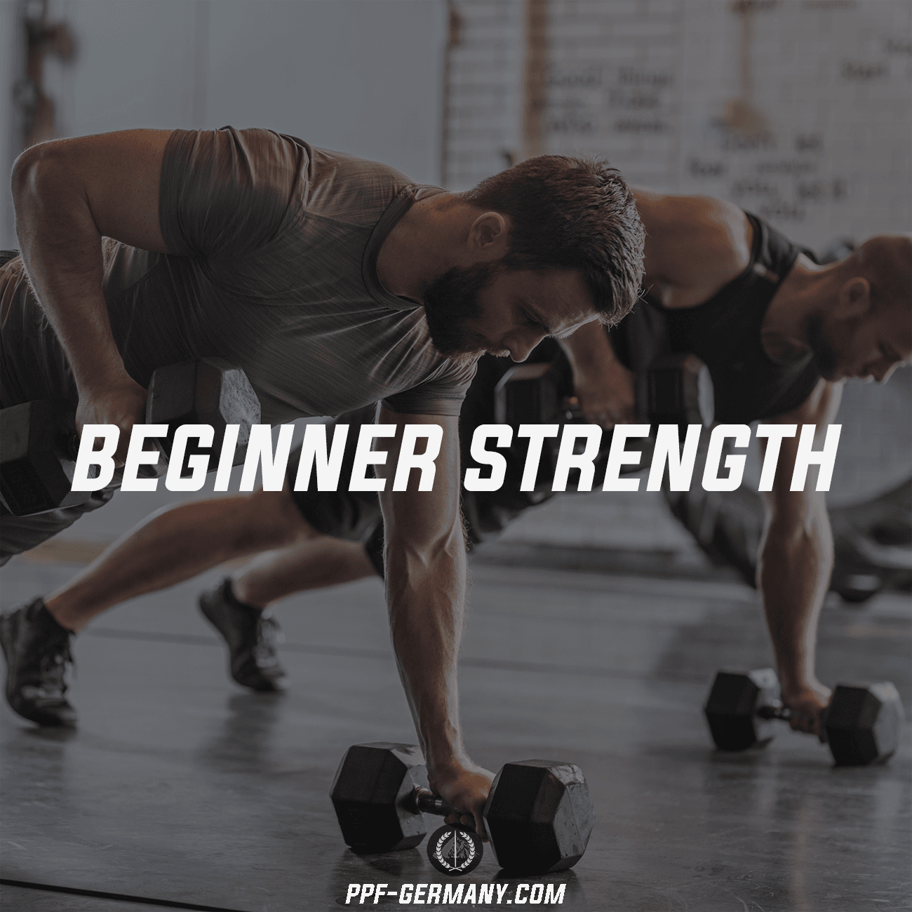 Beginner Strength - Peak Performance Fitness Germany