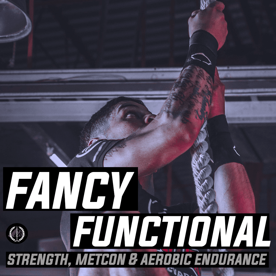 Fancy Program Examples Fancy Functional Fitness Program | PPF Germany Shop